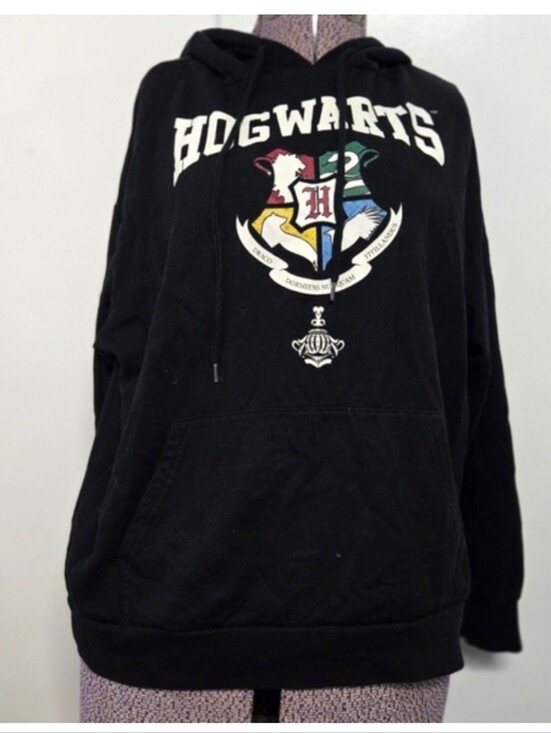 Wizarding World Of Harry Potter Other - Harry Potter Hogwarts Crest Pullover Hoodie Size Small